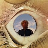 Silverfish Trivia [VINYL]