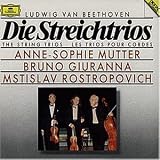 Beethoven: Die Streichtrios (The String Trios)