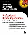 Professional Struts Applications: Building Web Sites with Struts ObjectRelational Bridge, Lucene, and Velocity (Expert's Voice)
