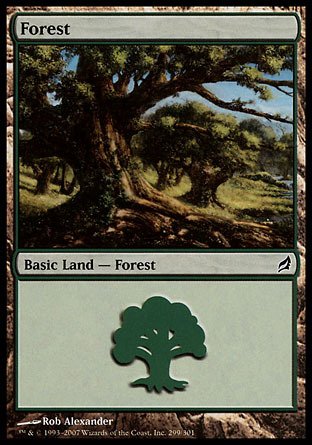 Magic: the Gathering - Forest (299) - Lorwyn - Foil