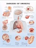 Dangers of Smoking