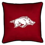 Review Sports Coverage  / Arkansas Razorbacks 17in. 