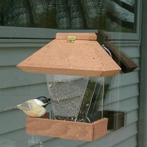 Canopy Window Bird Feeder