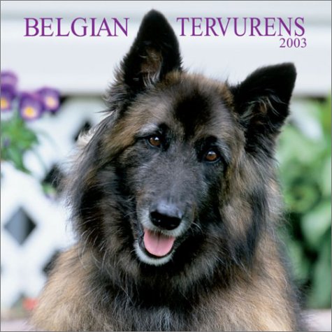 Belgian Tervurens 2003 Calendar Picture