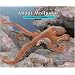 About Mollusks: A Guide For Children (About... (Peachtree Hardcover))