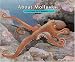  : About Mollusks: A Guide For Children (About...)