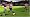 FIFA 07 (PSP)