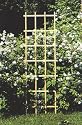 CEDAR LADDER TRELLIS - 6'
