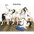 夢みるアドレセンス「Bye Bye My Days(通常盤)」