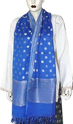 Neck Scarf Chiffon Silk for Women Christmas Gift Ideas 22 x 72 inches (srfch012)