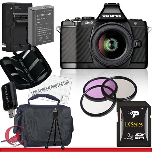 review Olympus E-M5