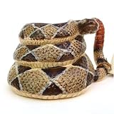 Western Diamondback Rattlesnake Ceramic Mug