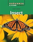Insect