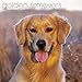 Golden Retrievers 2017 Calendar: Includes Downloadable Wallpaper