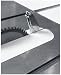 Biesemeyer 78-961 T-Square Anti-Kickback Snap-In Spreader for Delta Unisaw-Right Tilt Table Saw