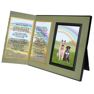 beyond the rainbow bridge poem