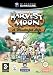 Harvest Moon: A Wonderful Life (GameCube)