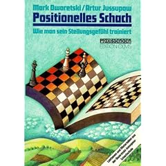 Positionelles Schach: Wie man sein Stellungsgef�hl trainiert. Lektionen und Materialien aus der Dworetski-Jussupow-Schachschule