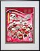 Photo File Arizona Cardinals 2008 NFC Conference Champions Framed Photo