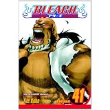 Bleach, Vol. 41