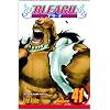 Bleach, Vol. 41