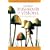 Sacred Mushroom of Visions: Teonan�catl: A Sourcebook on the Psilocybin Mushroom