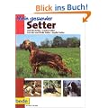 Mein gesunder Setter: Irish Red Setter - Gordon Setter -Irish Red and White Setter - English Setter