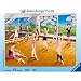 Ballet Class Frame Jigsaw Puzzle 43pc
