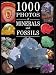 1000 Photos of Minerals and Fossils (1000 Photos Series)