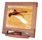 NCbNT XV1-17-SP1(Sapele Wood)