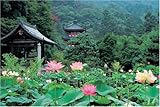 1000ピース 三室戸寺 1000-409