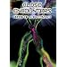 Close Encounters: Proof of Alien Contact