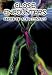 Close Encounters - Proof Of Alien Contact [1999] (NTSC)