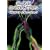 Close Encounters: Proof of Alien Contact