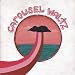 Music : Carousel Waltz
