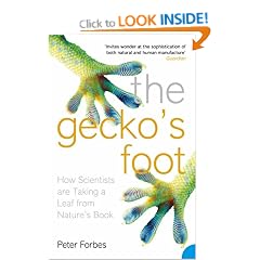 The Gecko's Foot: How Scientists are Taking a Leaf from Nature's Book
