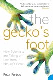 The Gecko's Foot: How Scientists Are Taking a Leaf from Nature's Book