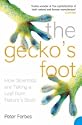 The Gecko's Foot