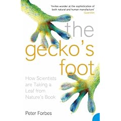The Gecko's Foot: How Scientists are Taking a Leaf from Nature's Book