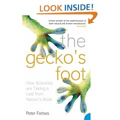 The Gecko's Foot: How Scientists are Taking a Leaf from Nature's Book