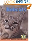 Bobcats (Early Bird Nature)