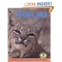 Bobcats (Early Bird Nature Books)