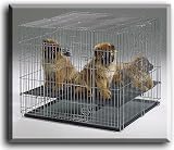 MIDWEST Puppy Playpen 24x36