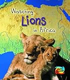 Watching lions in Africa