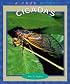 Cicadas (True Books)