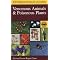 Learn About Wild Foods and Medicines