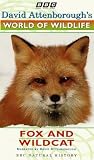 David Attenborough's World Of Wildlife 4 - Fox And The Wildcat VHS