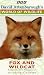 David Attenborough's World Of Wildlife 4 - Fox And The Wildcat
