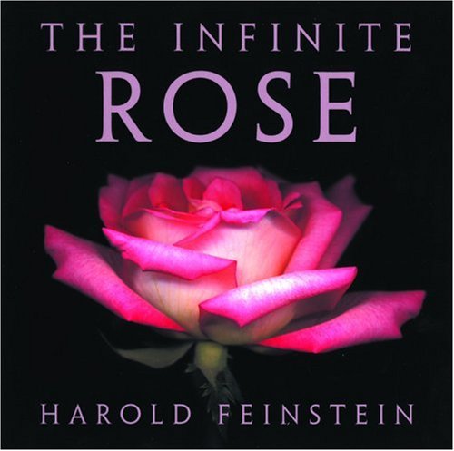 The Infinite Rose