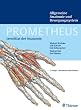 Lernatlas der Anatomie. Allgemeine Anatomie und Bewegungssystem